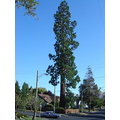 DSC01467